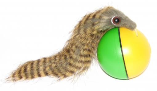 Obrázek z Squirrel chase ball - veverka pronásledující míček 