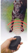 Obrázek z Elektronický výcvikový ovladač pro psa 