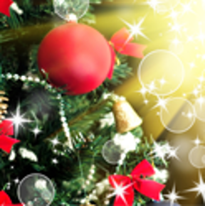 Obr&#xE1;zek pro kategorii V&#xE1;no&#x10D;n&#xED; stromky a ozdoby