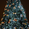 Obrázek z Vánoční LED osvětlení, světelný řetěz, venkovní 50 ks/10 m 