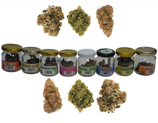 Obrázek z CBD Cannabis 1g ve skle 