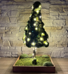 Obrázek z Mechový Vánoční stromek 50cm/50led se zahrádkou 