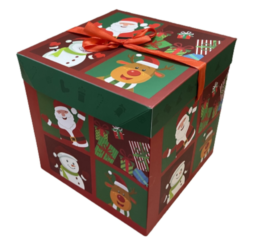 Obrázek z Vánoční Dárková krabice s mašlí 22 cm 