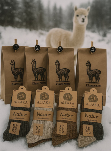 Obrázek z Adventní kalendář 24 párů ponožek z Alpaky 
